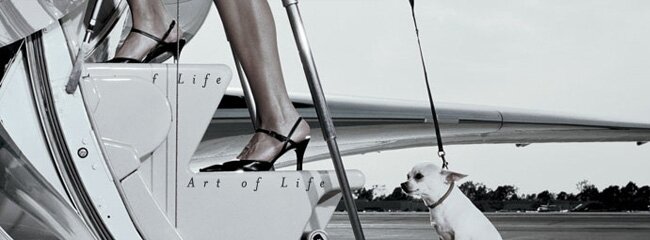 ����� ������ ������ � ��������