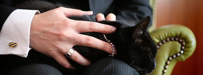 �������� ������ � ����� ������ ������